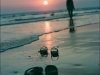 Bali - Indonesia