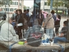 Bild020_Neg.Nr_