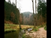 Dresden saxon Switzerland, Dresden