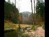 Dresden saxon Switzerland, Dresden