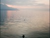 By the lake