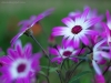 2012_07_31_14_51_57_838_4620801177_699bd93b51_o