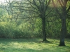 2012_07_31_14_54_21_229_4620801187_4557139c10_o