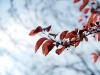 2012_07_31_14_55_40_374_4620801191_e59b27223f_o