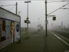 Foggy day
