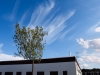 2012_10_27_09_17_43_322_3806903773_d6355aa46d_o