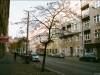 Vienna, Prague