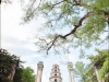 Chua Thien Mu