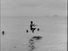.serendipity